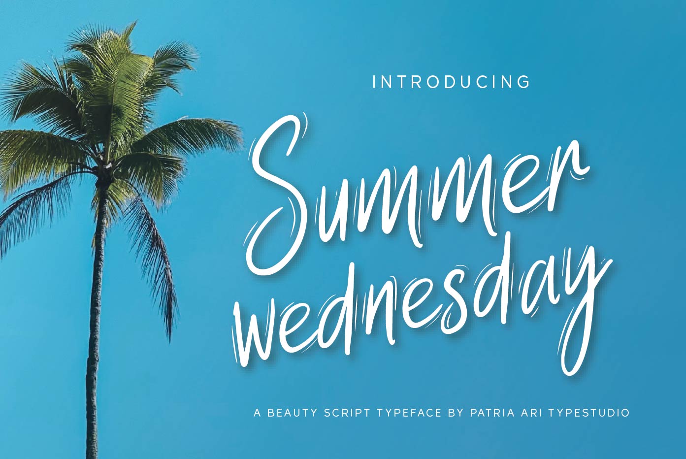Summer Wednesday Script